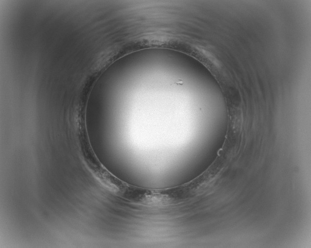 X0000071960455200607212256