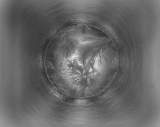 X0000071960457200607212257