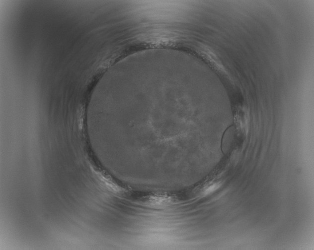 X0000071960458200607212257