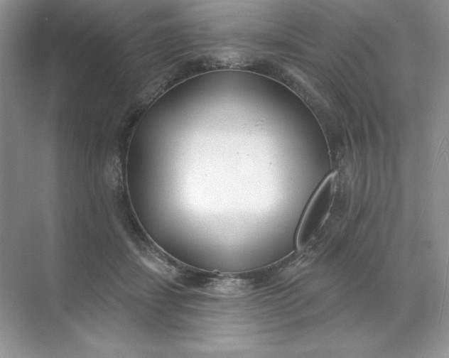 X0000071960459200607212257