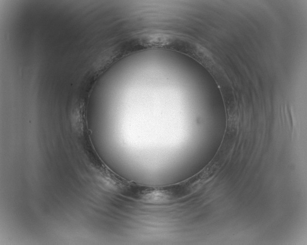 X0000071960460200607212257