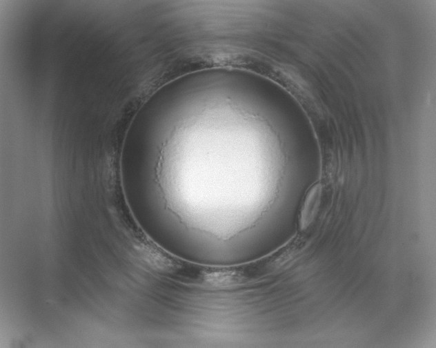 X0000071960461200607212257