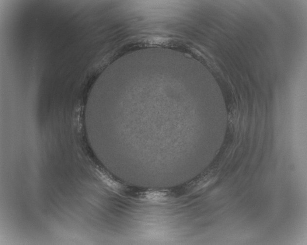 X0000071960462200607212257