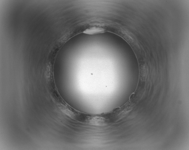 X0000071960463200607212257