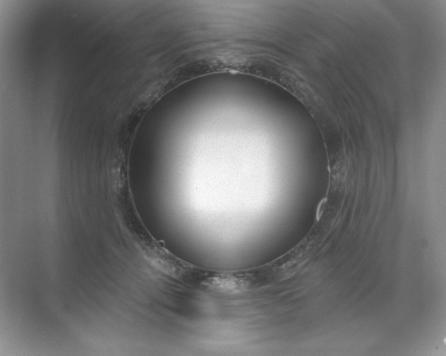 X0000071960464200607212257