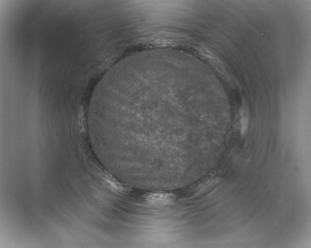 X0000071960465200607212257