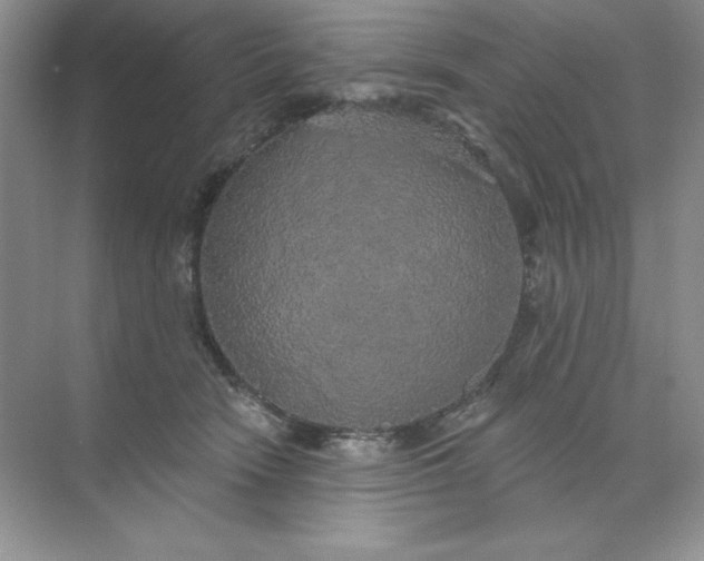 X0000071960466200607212257