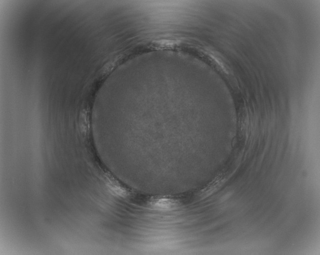 X0000071960467200607212257