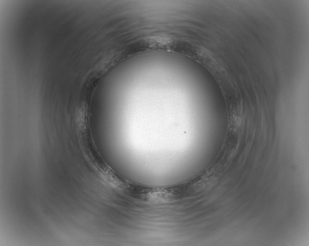 X0000071960468200607212257