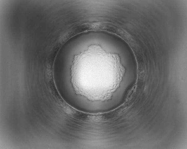 X0000071960469200607212257