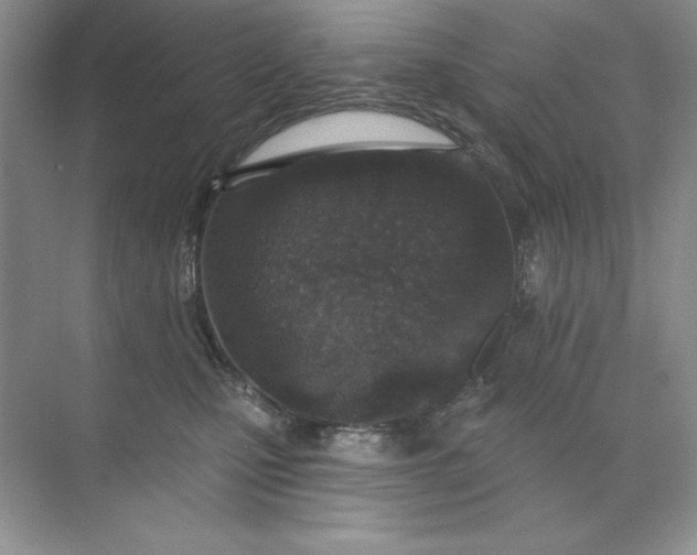 X0000071960471200607212257