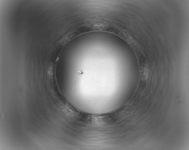 X0000071960472200607212257