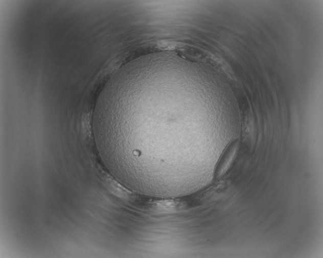 X0000071960473200607212257