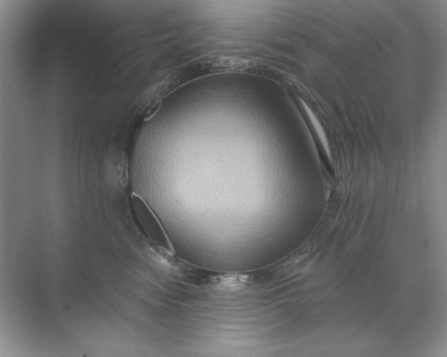 X0000071960474200607212257