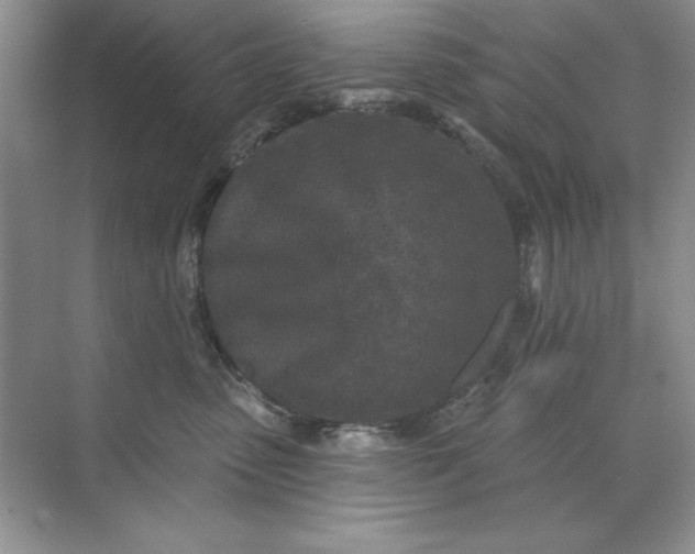 X0000071960475200607212257