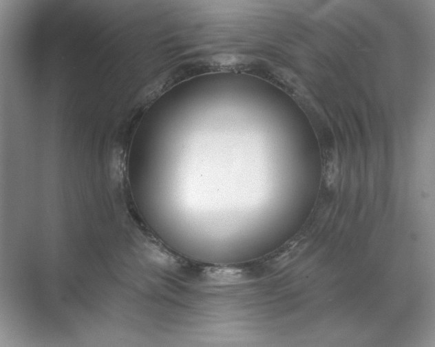 X0000071960476200607212257