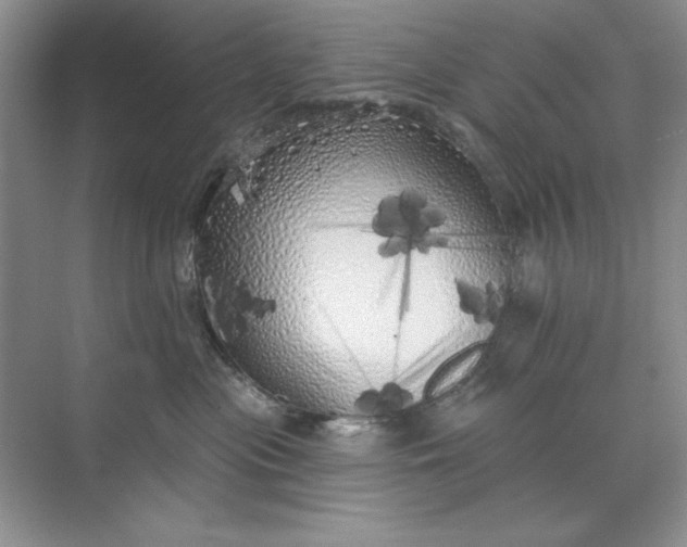 X0000071960477200607212257