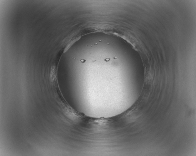 X0000071960478200607212257