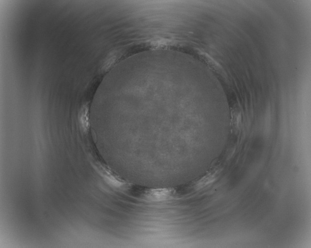 X0000071960479200607212257