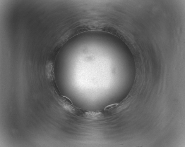 X0000071960480200607212257