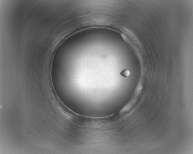 X0000071960481200607212256