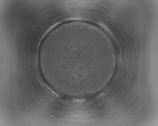 X0000071960484200607212256