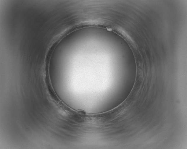 X0000071960486200607212256