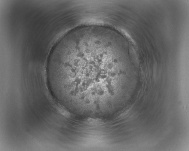 X0000071960487200607212256