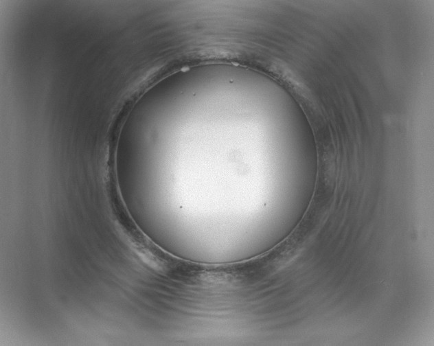 X0000071960490200607212256