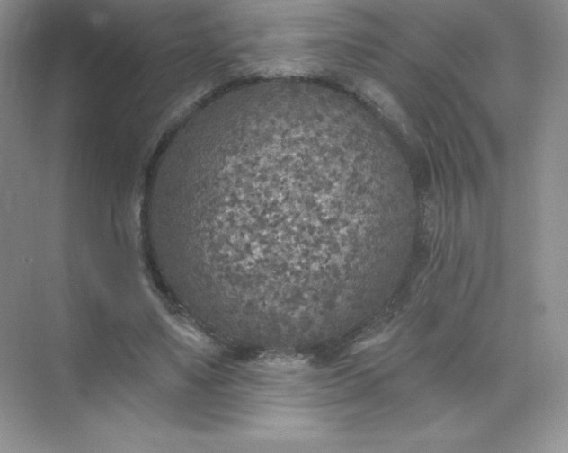 X0000071960491200607212256