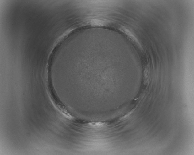 X0000071960492200607212256