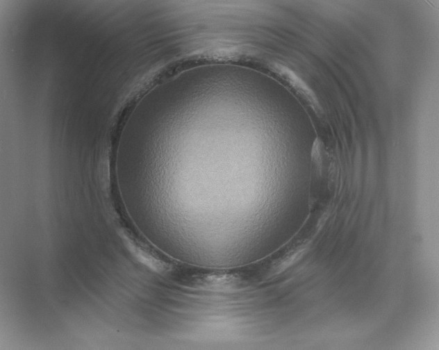 X0000071960493200607212256