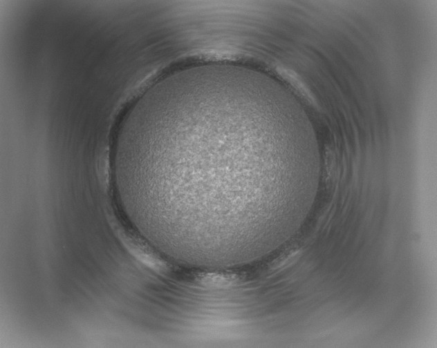 X0000071960494200607212256