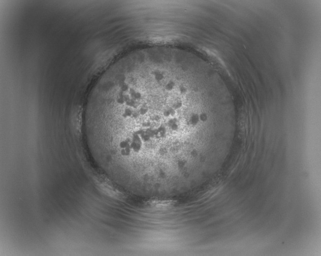 X0000071960495200607212256