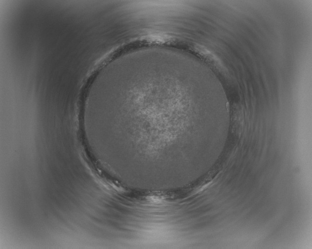 X0000071960496200607212256