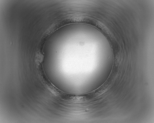 X0000071960497200607212256