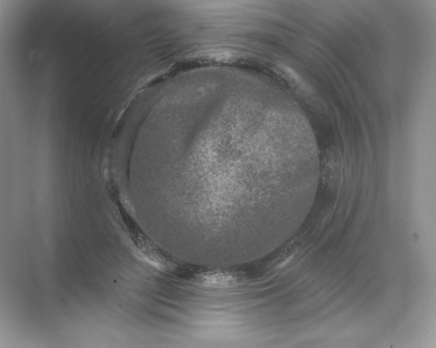 X0000071960500200607212256