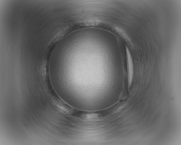 X0000071960501200607212256