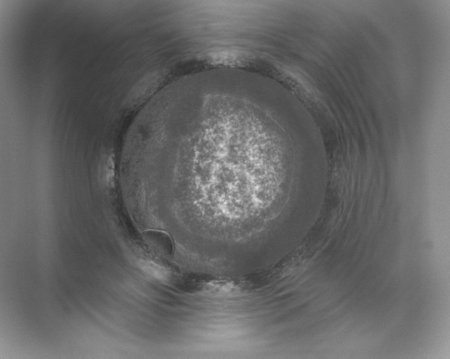 X0000071960502200607212256