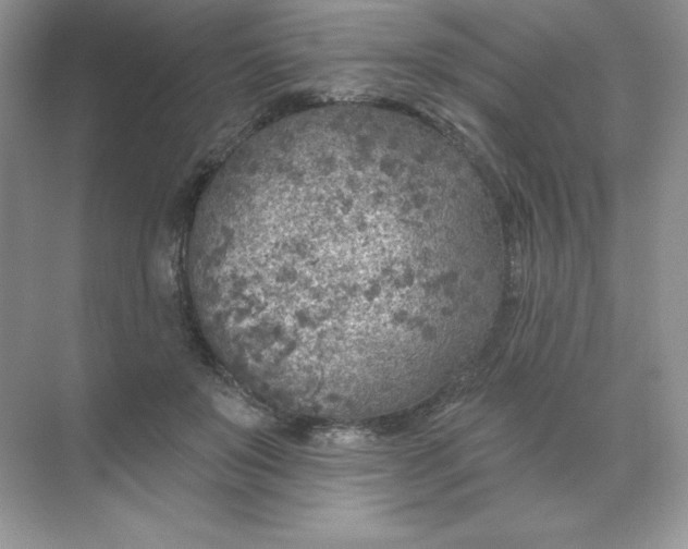 X0000071960503200607212256