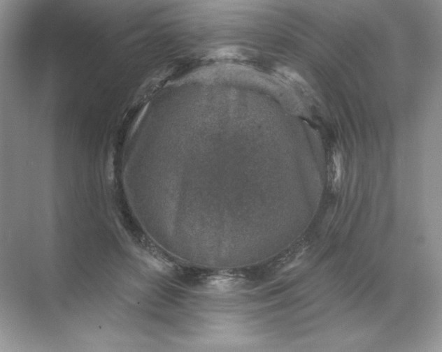 X0000071960504200607212256