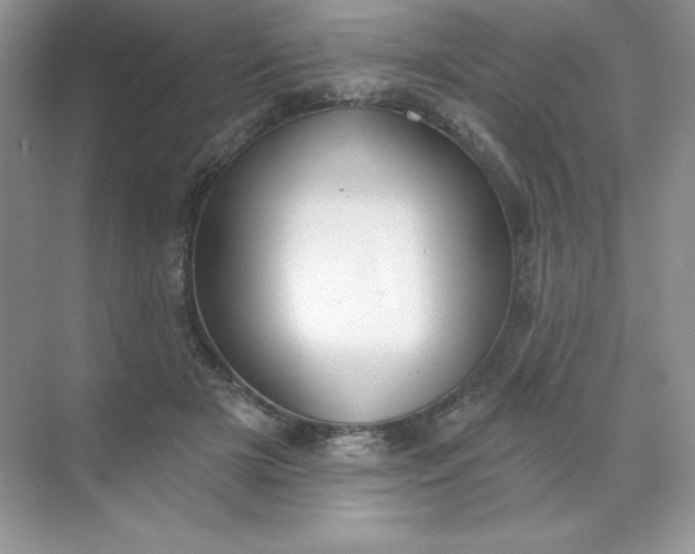 X0000071960505200607212256