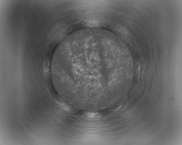 X0000071960507200607212256