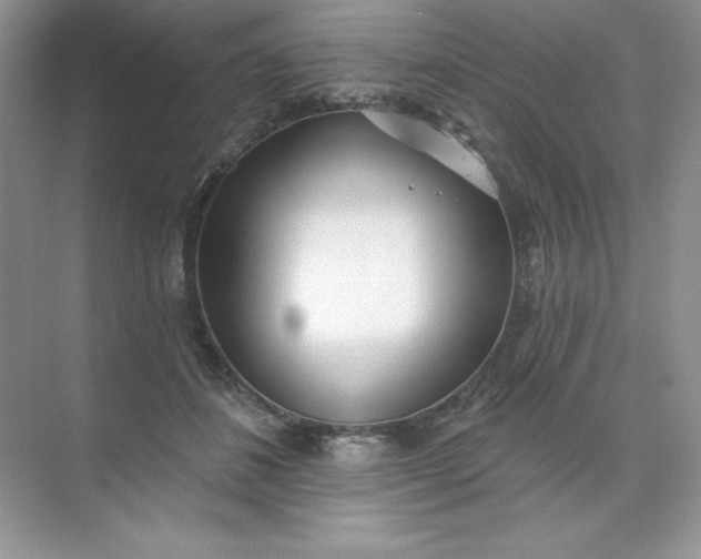 X0000071960508200607212256