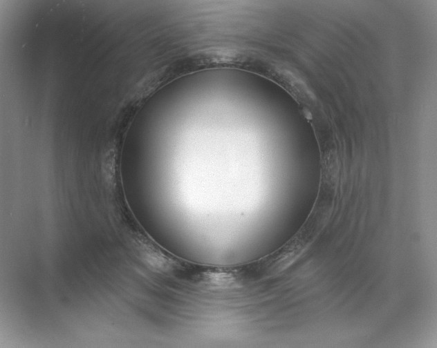 X0000071960509200607212256