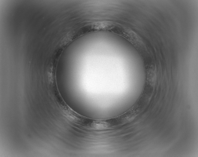 X0000071960510200607212256