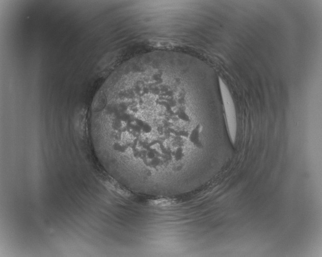 X0000071960511200607212256