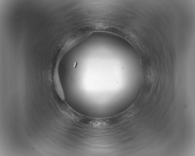 X0000071960512200607212256