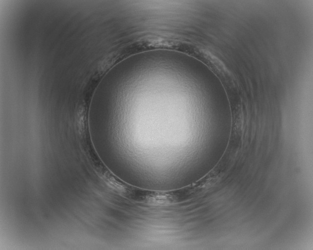 X0000071960513200607212256