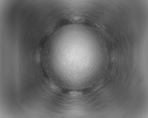 X0000071960515200607212256